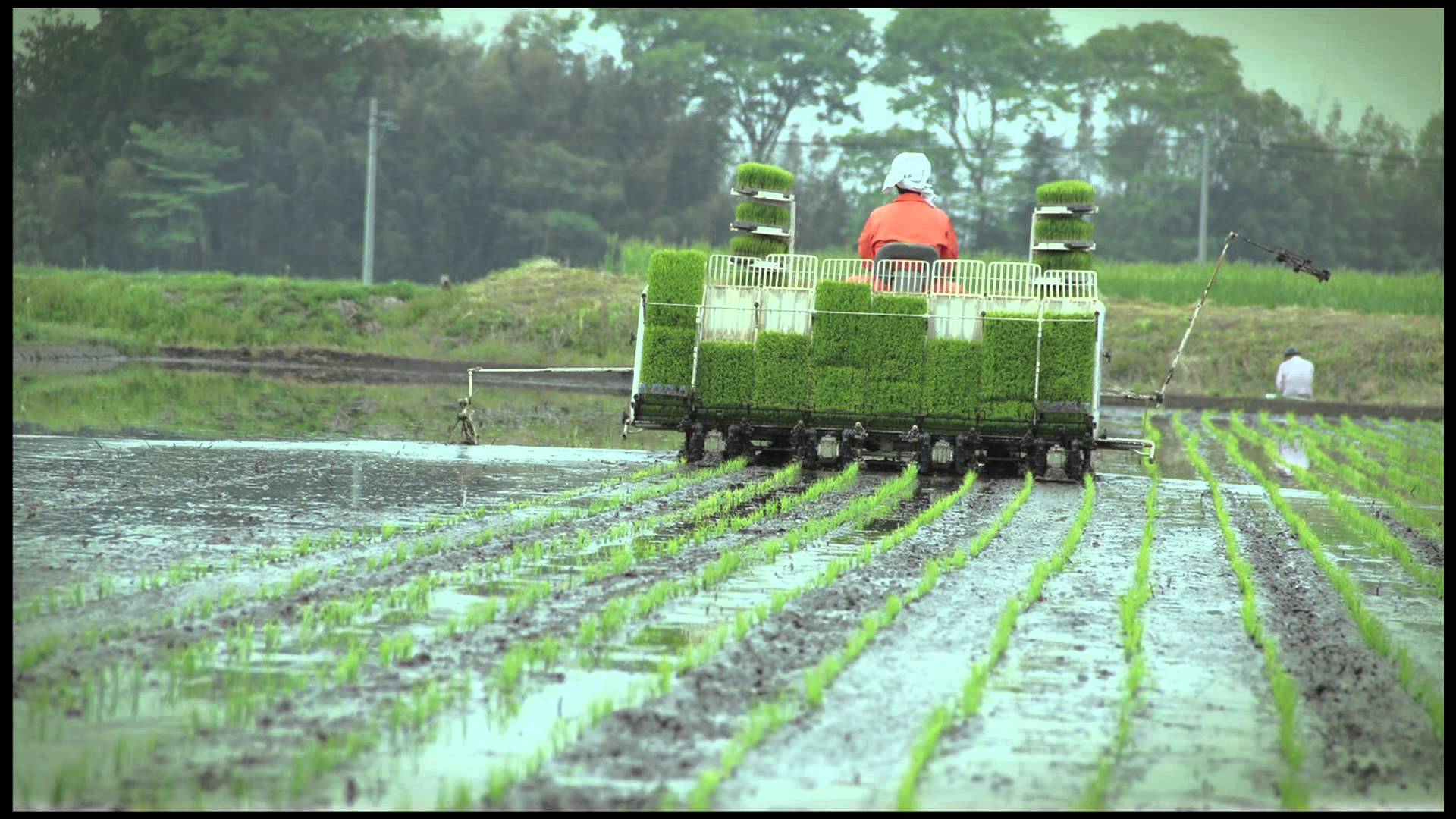 Các biện pháp mới của Nhật Bản để chống lại sự nóng lên toàn cầu