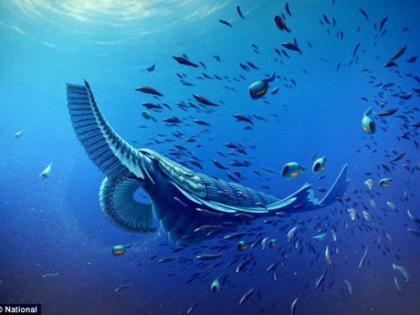 Phát hiện hóa thạch cá voi cổ đại với hình dáng kỳ lạ