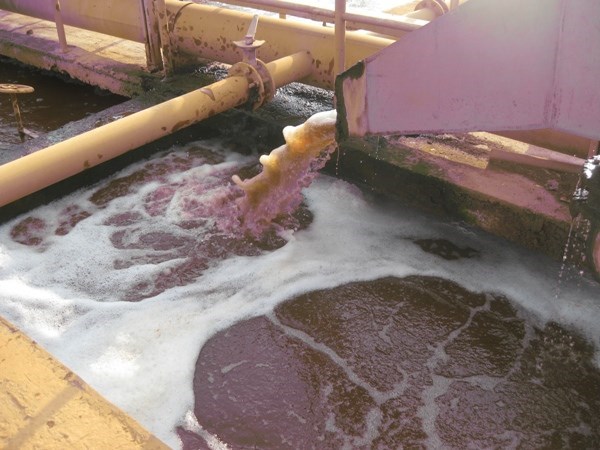 Việt Nam - Đức tăng hợp tác nghiên cứu trong lĩnh vực nước