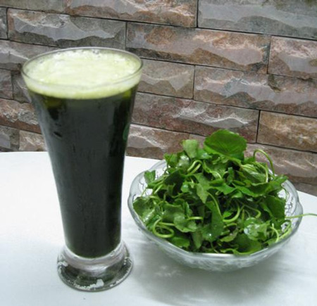 Thực phẩm giải nhiệt