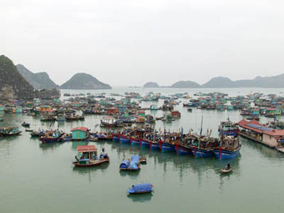 Điều tra nguồn lợi hải sản Việt Nam