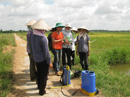 Mô hình xử lý rơm rạ cải thiện độ phì và cân bằng dinh dưỡng cho đất