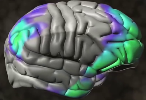 Sự kết nối trong bộ não