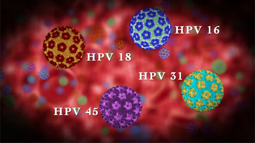 Nghiên cứu HPV và tổn thương cổ tử cung