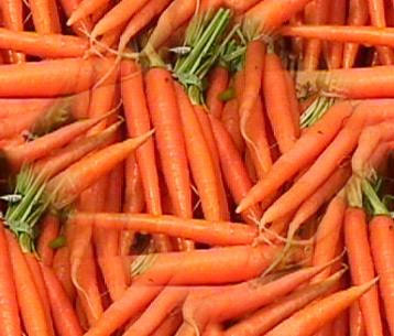 Kỹ thuật trồng cà rốt
