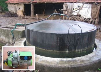 Biogas phát điện trong chăn nuôi