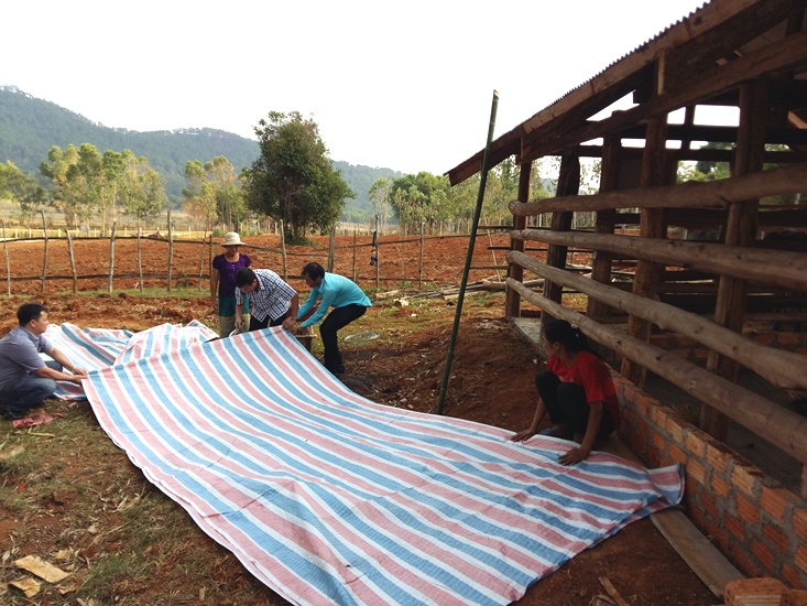 Phòng chống dịch bệnh cho vật nuôi trong mùa mưa bão