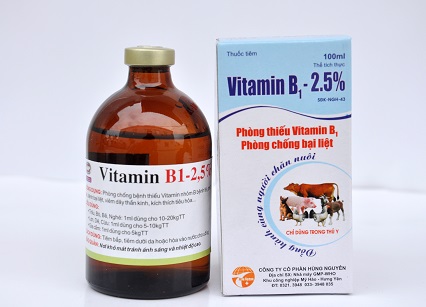 Bổ sung vitamin B1 cho vật nuôi