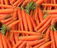 Kỹ thuật trồng và chăm sóc cà rốt