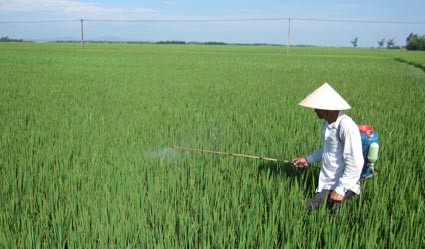 Hướng dẫn phun thuốc phòng trừ sâu bệnh trên lúa và cây trồng