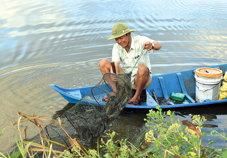 Quy trình nuôi tôm sú quảng canh cải tiến 2 giai đoạn