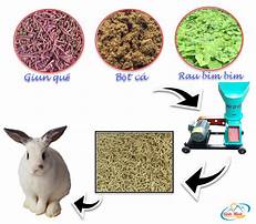 Chế độ dinh dưỡng và khẩu phần  thức ăn cho thỏ