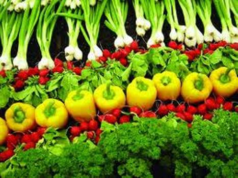 Hướng dẫn kỹ thuật trồng rau màu trong mùa mưa