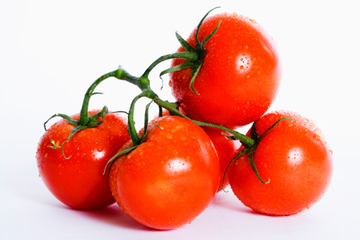 Kỹ thuật trồng và chăm sóc cà chua sạch bệnh