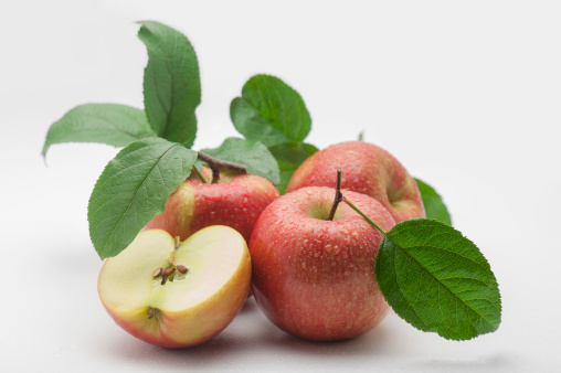 Những điều cần biết khi bảo quản trái cây