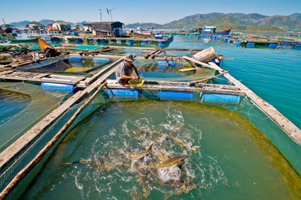 Phòng trừ động vật gây hại cho nuôi trồng thủy sản