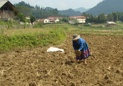 Kỹ thuật làm đất cấy