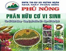 Sản xuất phân hữu cơ vi sinh từ phân gà (phân heo, phân bò) tươi sử dụng chế phẩm vi sinh