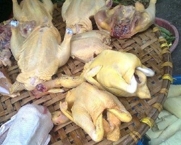 Thịt gà nhập lậu tồn dư nhiều kháng sinh, hóa chất cấm